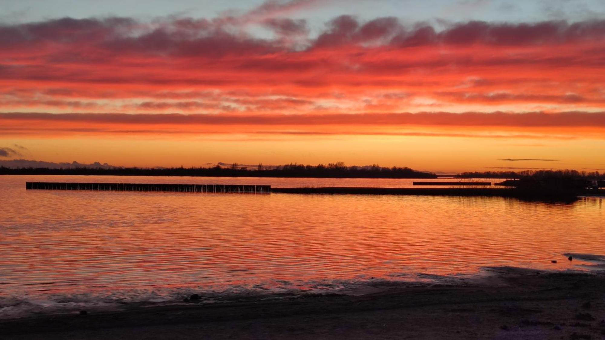 Mobilheim Herz Lauwersoog - Chalet Robbengat Bagian luar foto